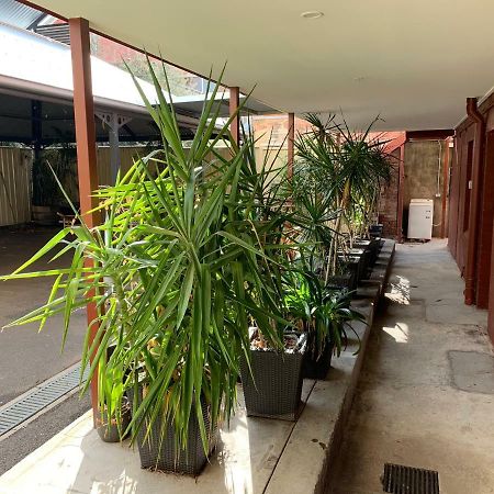 Crown Cbd Motel - City Location Bendigo Exterior foto